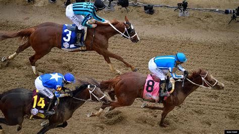 preakness morning line odds|Preakness Stakes 2023: Morning line odds, picks and .